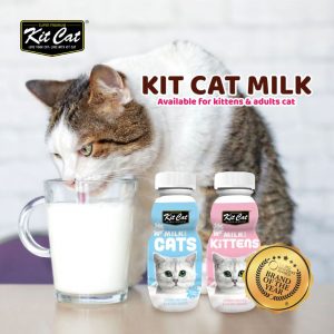 Leche para Gatito marca Kitcat